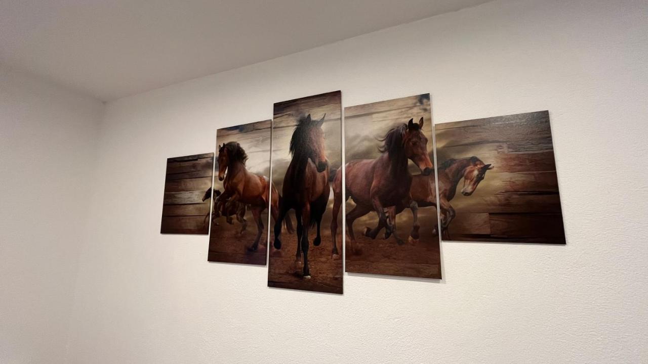 Ranchhouse Smoker- Westernstable - Horse Elterlein 外观 照片