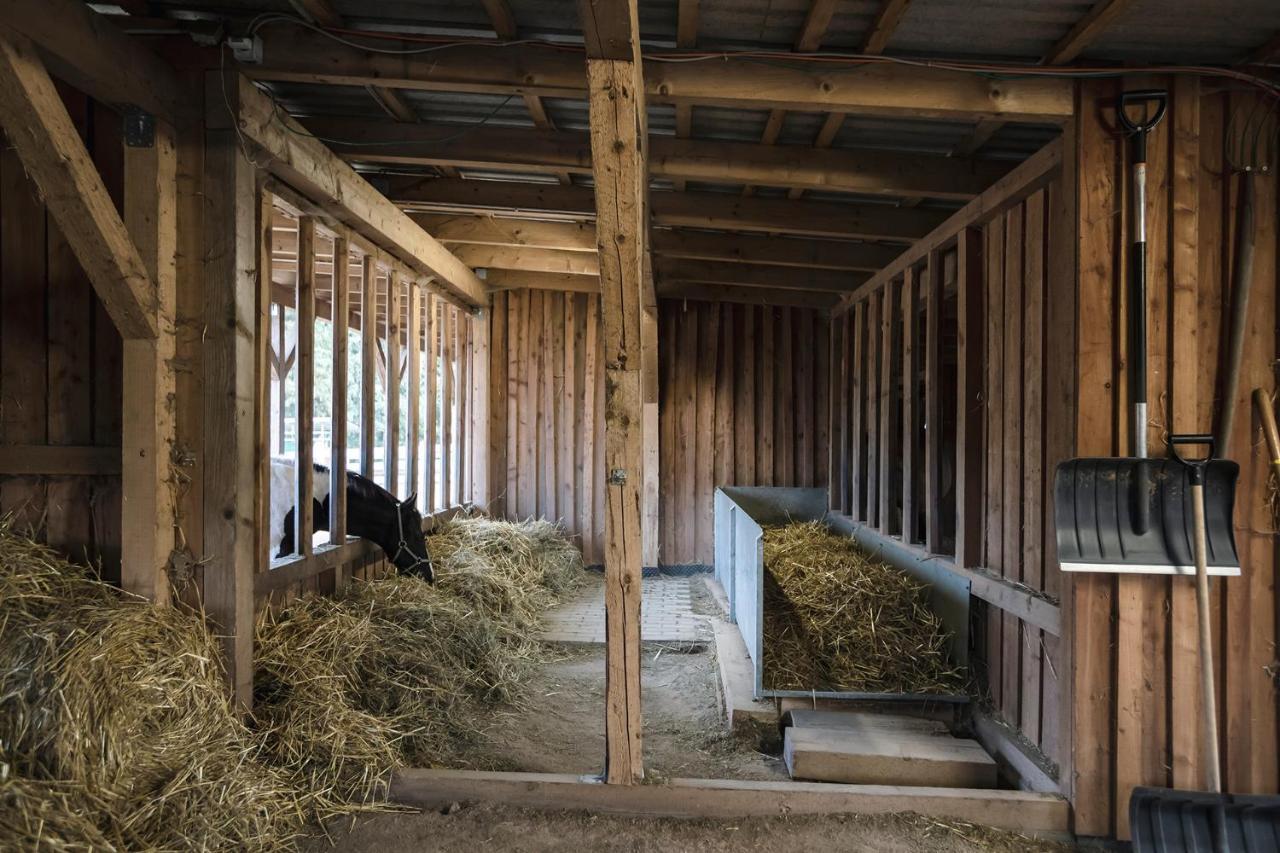 Ranchhouse Smoker- Westernstable - Horse Elterlein 外观 照片